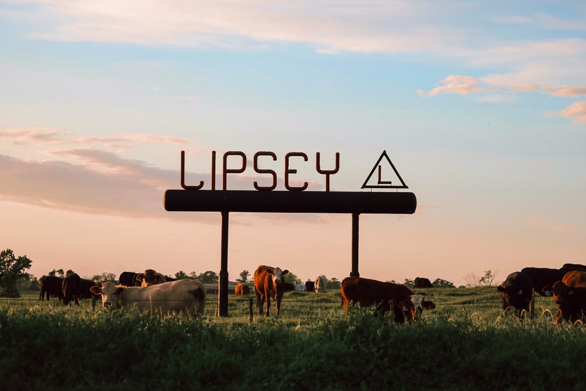 Lipsey Beef Company